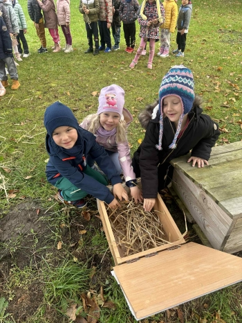 2fefe970-2186-4bda-a56a-24f1788ca71b