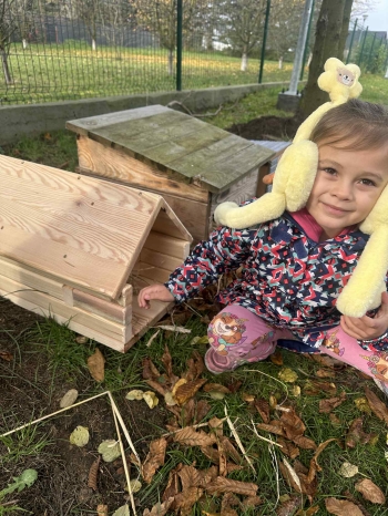 7d18f253-8373-4754-bb2b-303095fe7b07