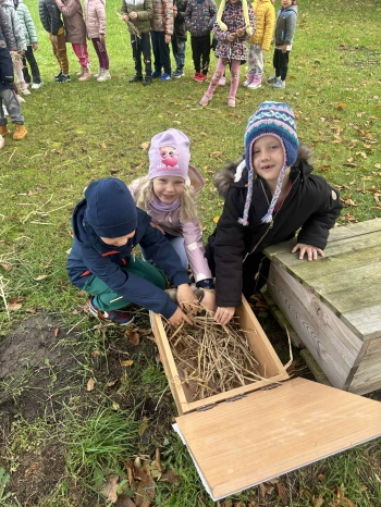 3818a90f-6e48-4c98-8638-83c1dfe563c0