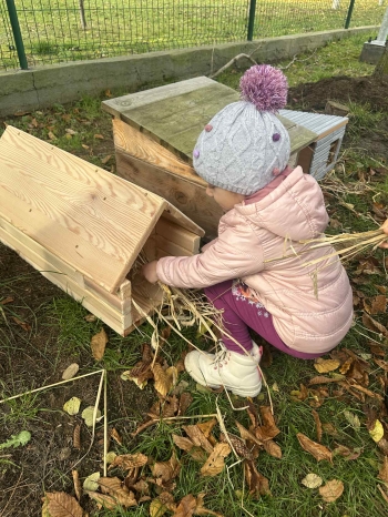 a9bfa77d-ffa5-43bd-b8da-3d8fb7bc1c13