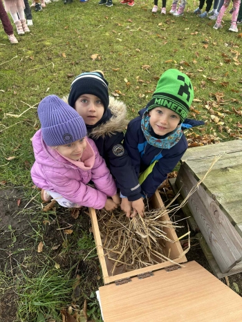 badf89c4-1da8-403a-a8d3-93fce2d537c0