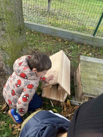 dd7e197a-febe-4e63-b4bc-c9e0cb65787b