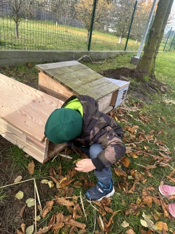 ed5ae3fb-25ce-45b6-a0b3-44eb026ad1da