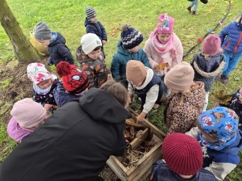 41696d3f-3710-4626-a446-3584645cdf5b