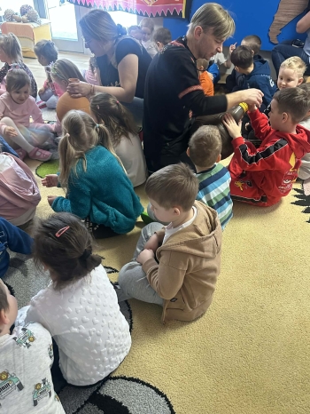 98a3a369-992f-4121-a800-a7085538a587