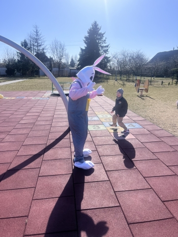IMG_2430.JPEG
