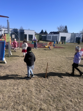 IMG_2444.JPEG