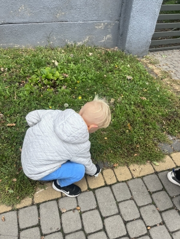 IMG_4566.JPEG