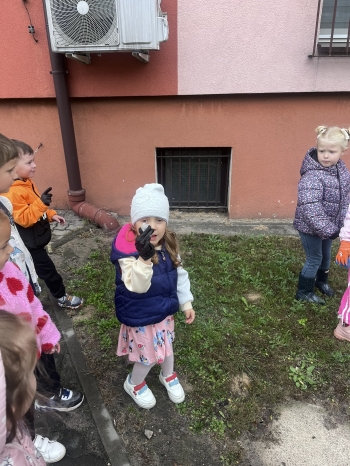 IMG_4571.JPEG
