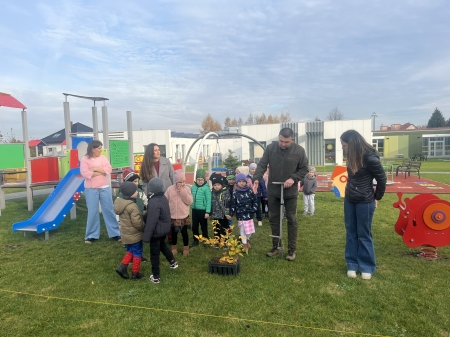 SADZENIE DRZEWEK JARZĘBU BREKINII PRZEZ ''ŻYRAFY''