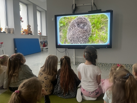 DZIEŃ JEŻA U ''DELFINKÓW''