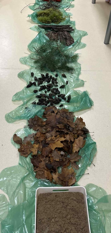 LEŚNA ŚCIEŻKA SENSORYCZNA U ''ŻYRAF''