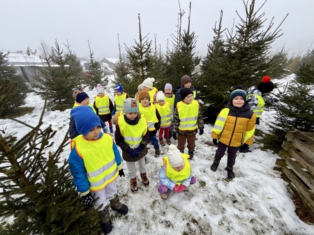 WYJŚCIE „KANGURÓW” PO CHOINKĘ